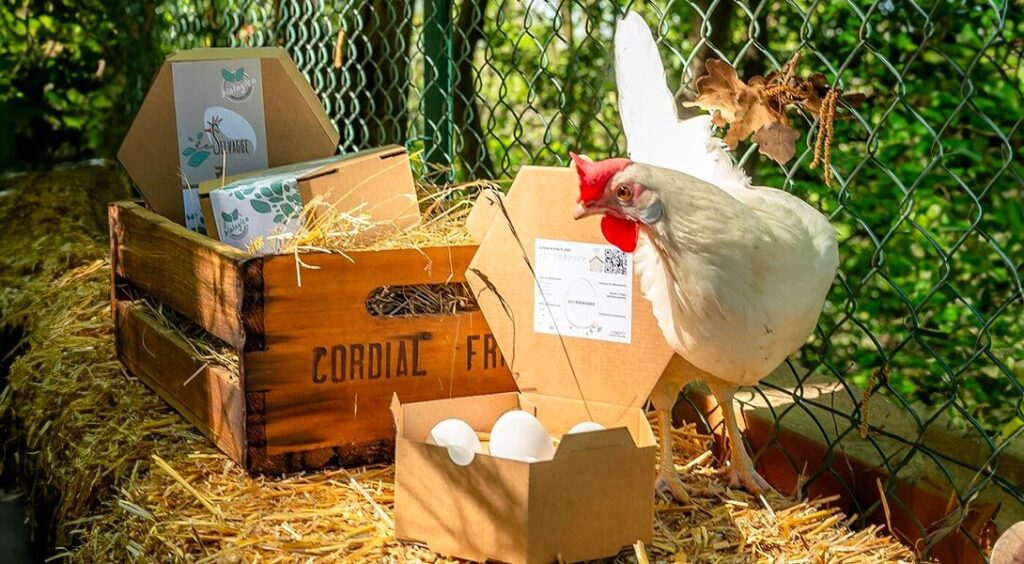 immagine prodotti di giugno