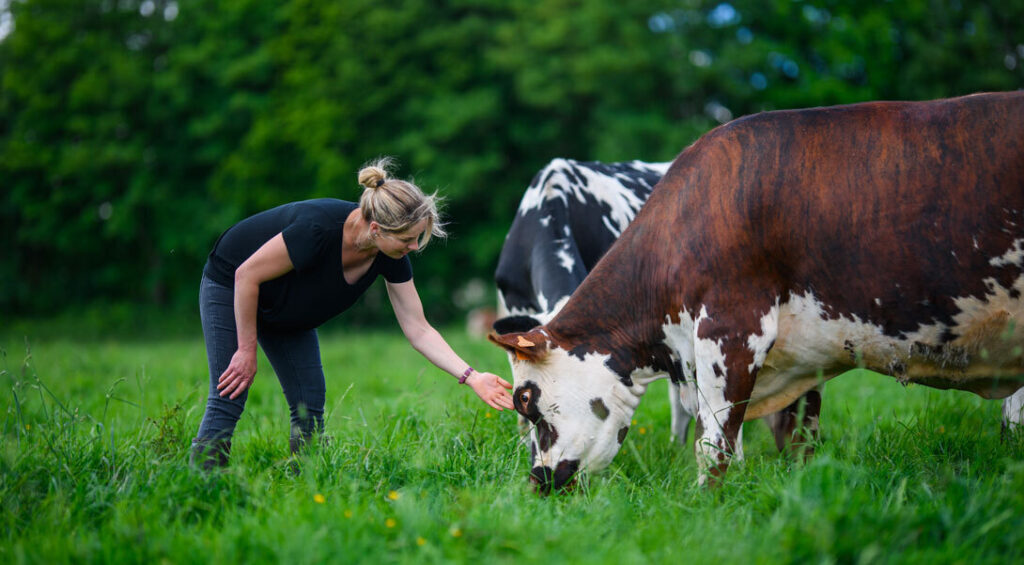 immagine prodotti mese di agosto